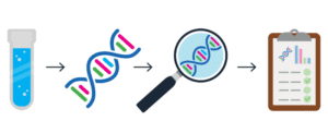 Whole Genome Sequencing