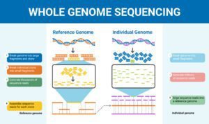 Whole Genome Sequencing Test