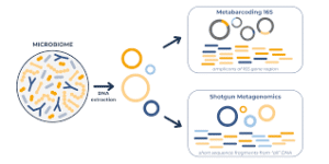 Shotgun Metagenomics