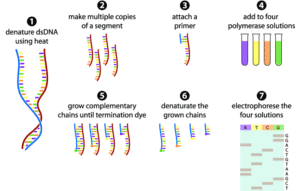 dna sequencing methods